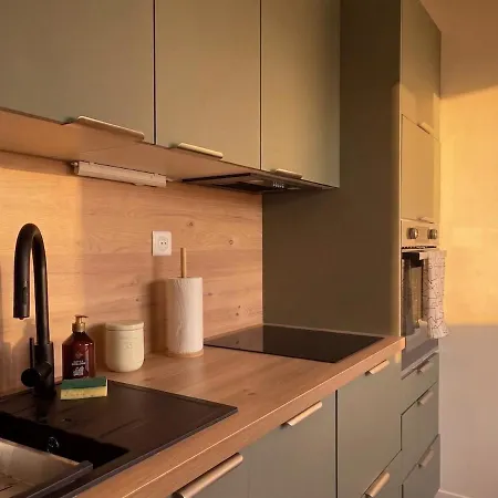La Boheme - Cosy Et Epure Appartement Haguenau
